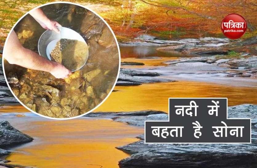 pure gold इस नदी में बहता है शुद्ध सोना, पलभर में कोई भी बन सकता है लखपति