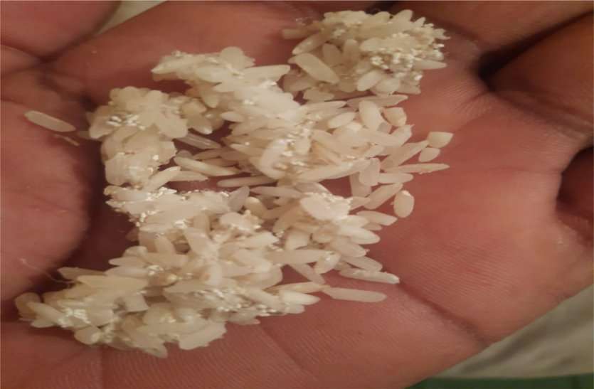 Bad rice distributed from ration shop राशन दुकान से वितरित कर दिया खराब चावल, हितग्राहियों ने की शिकायत