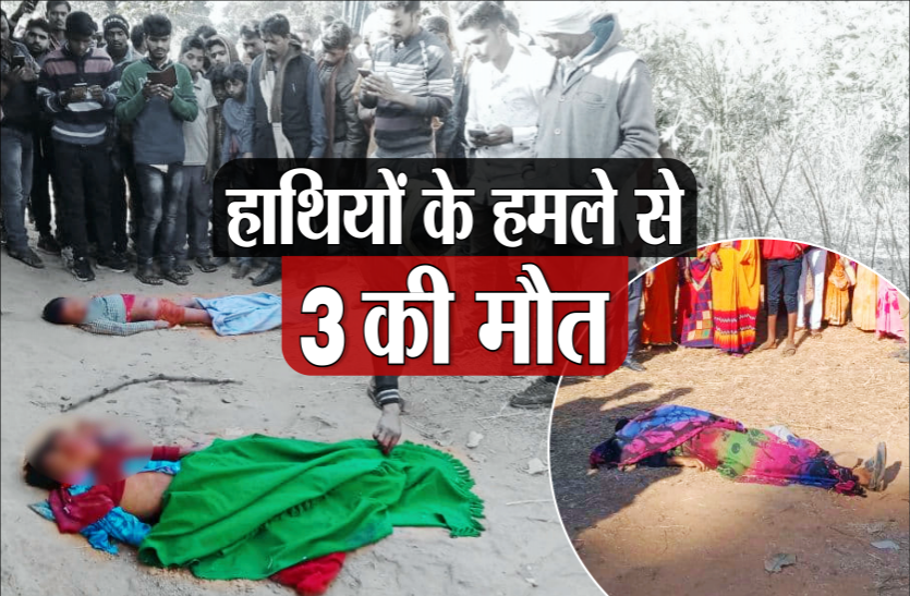 news हाथियों के हमले से दादा और उनके दो पोतों की मौत, आक्रोशित ग्रामीणों ने हाईवे पर किया चक्काजाम