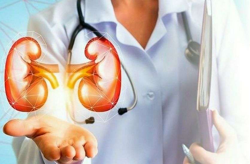 किडनी किडनी को रखना है स्वस्थ तो इन फलों क्या करें सेवन, मिलेगा स्वास्थ्य लाभ
