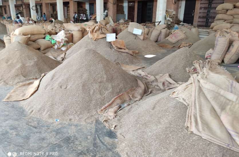 हल्दी में तेजी बरकरार, जीरा मंदा हल्दी में तेजी बरकरार, जीरा मंदा