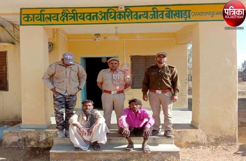 मारवाड़-मेवाड़ सीमा में सालर पेड़ों पर टैपिंग करते वन विभाग ने पकड़े दो सदिग्ध, पूछताछ जारी मारवाड़-मेवाड़ सीमा में सालर पेड़ों पर टैपिंग करते वन विभाग ने पकड़े दो सदिग्ध, पूछताछ जारी