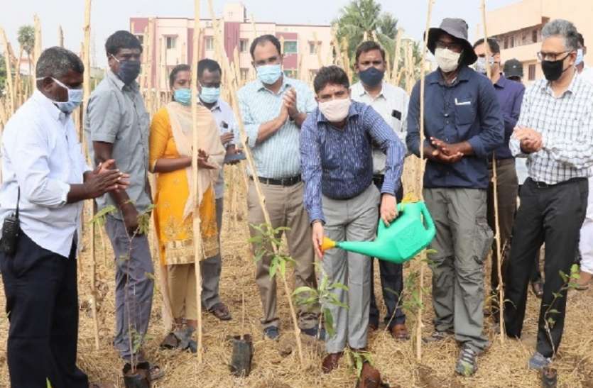 Chennai corporation planning 30 urban forests in chennai पर्यावरण सहेजने के लिए बना नगर वन, शहरी लोगों को मिलेगा वनों का अनुभव