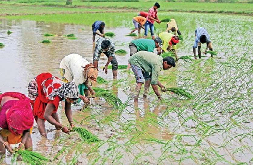 This digital card will increase farmers income, spending only Rs 250 यह डिजिटल कार्ड किसानों की आमदनी में करेगा इजाफा, सिर्फ 250 रुपए करने होंगे खर्च