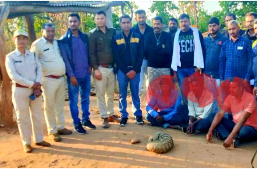 Three smugglers arrested, accused of selling live pangolin तीन तस्कर गिरफ्तर, जिंदा पैंगोलिन बेचने की फिराक में थे आरोपी