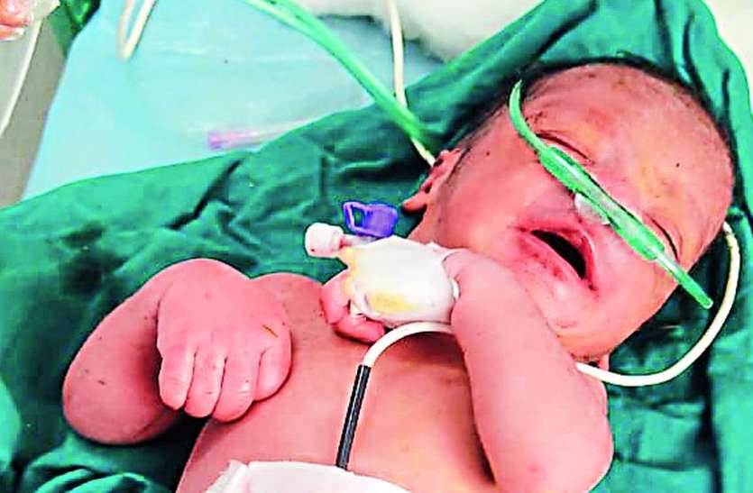 मुक्तिधाम के पास जंगल की झाडिय़ों में बिलखता पड़ा मिला नवजात मुक्तिधाम के पास जंगल की झाडिय़ों में बिलखता पड़ा मिला नवजात