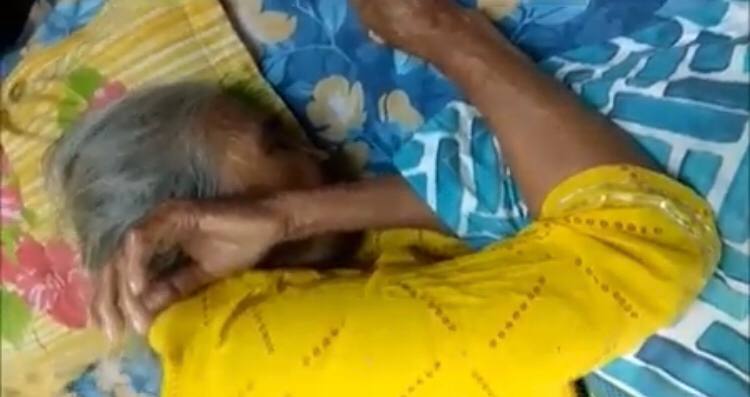 Pet Dog Attack Old Lady प लत क त त क अट क स ब ज र ग मह ल क क ल ह क हड ड ट ट चलन फ रन स ह ई ल च र Patrika News