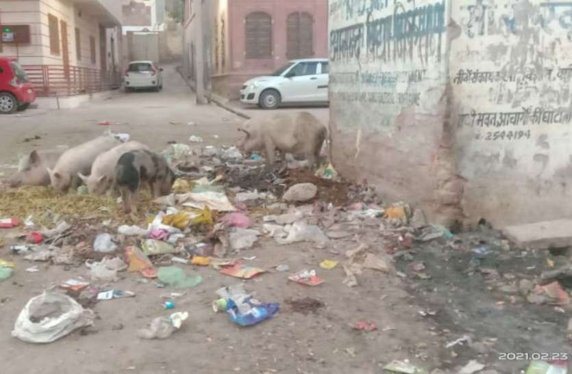स्वच्छता सर्वेक्षण सिर पर, सिरे नहीं चढ़ रही रात्रिकालीन सफाई व्यवस्था स्वच्छता सर्वेक्षण सिर पर, सिरे नहीं चढ़ रही रात्रिकालीन सफाई व्यवस्था