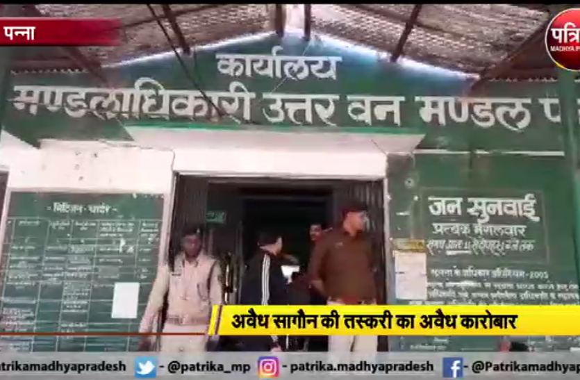 vlcsnap-2021-02-25-18h05m14s40.png वन विभाग की छापेमार कार्यवाही, दो ट्रक सागौन की लकड़ी जब्त