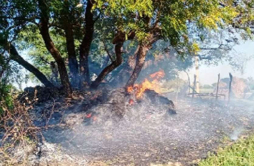 , आग की लपटों से पोते को बचाने में दादा-दादी भी झुलसे