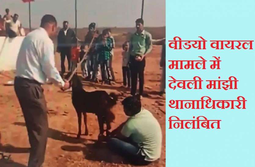 सोशल मीडिया पर हुआ था वीडियो वायरल पशुबलि प्रथा का वीडियो वायरल मामले में देवली मांझी थानाधिकारी निलंबित