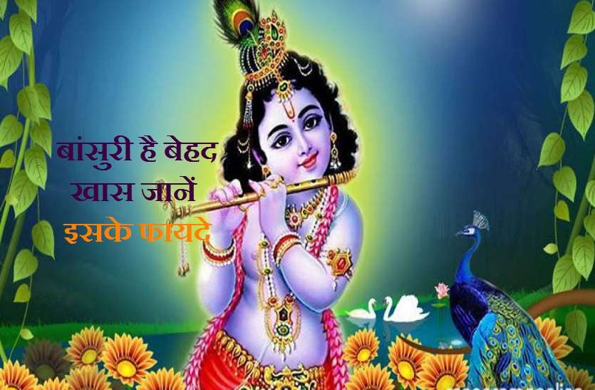 Vastu of The flute :Effect your Life and home बांसुरी का वास्तु से संबंध: जानें घर से कैसे दूर होंगे वास्तु दोष और आएगी खुशहाली