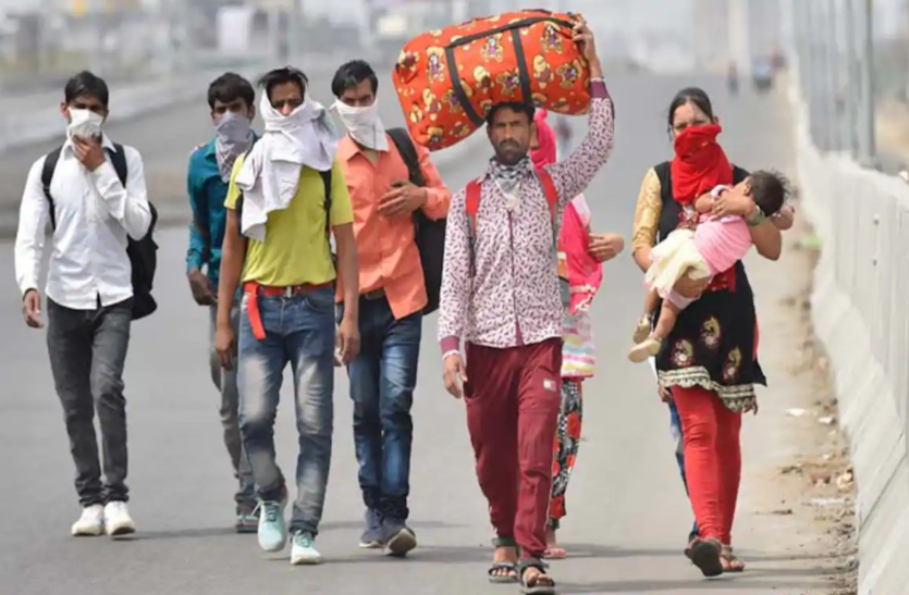 आर्ट एंड कल्चर : सत्ता का शहर दिल्ली और बंदर आर्ट एंड कल्चर : सत्ता का शहर दिल्ली और बंदर