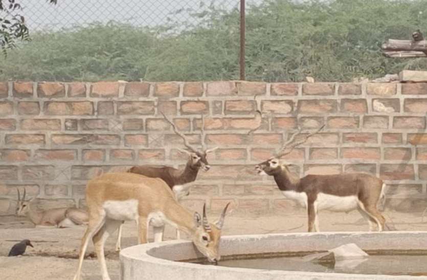 ग़र्मी की दस्तक के साथ वन्यजीवों की प्यास बुझाने की तैयारी ग़र्मी की दस्तक के साथ वन्यजीवों की प्यास बुझाने की तैयारी