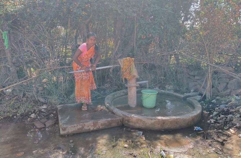 Jungle, Village, Water, Electricity, Unemployment, Bahoriband, Bidi सीमा के आखिरी गांव में पानी, बिजली के लिए लोग बेहाल