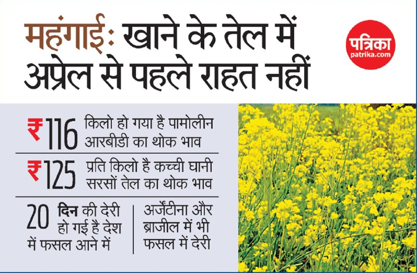 महंगाई: अप्रैल से पहले नहीं कम होंगे खाद्य तेलों के दाम महंगाई: अप्रैल से पहले नहीं कम होंगे खाद्य तेलों के दाम