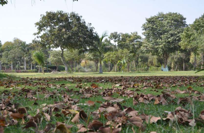 थार में रातें गर्म, पारा 20 डिग्री को पार थार में रातें गर्म, पारा 20 डिग्री को पार