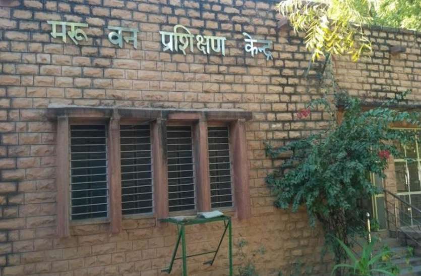वन विभाग की चौकियां अपनी ही जमीन बचाने में नाकाम वन विभाग की चौकियां अपनी ही जमीन बचाने में नाकाम