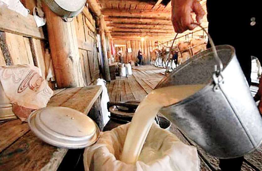 milk price hike Milk Price Hike: कृषि कानून के विरोध में खाप पंचायत का फैसला, 1 मार्च से 100 रुपये लीटर बिकेगा दूध