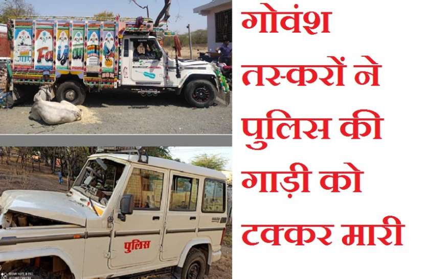 गोवंश तस्करों ने पुलिस की गाड़ी को टक्कर मारी, थानाधिकारी समेत 5 सिपाही घायल गोवंश तस्करों ने पुलिस की गाड़ी को टक्कर मारी, थानाधिकारी समेत 5 सिपाही घायल