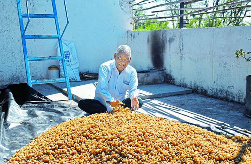कोरोनाकाल में पसंद आया आंवला कोरोनाकाल में पसंद आया आंवला