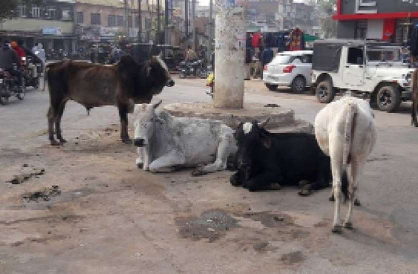 यहां की सड़कों पर इसलिए चलना हो रहा दुभर, पढ़ें पूरी खबर यहां की सड़कों पर इसलिए चलना हो रहा दुभर, पढ़ें पूरी खबर