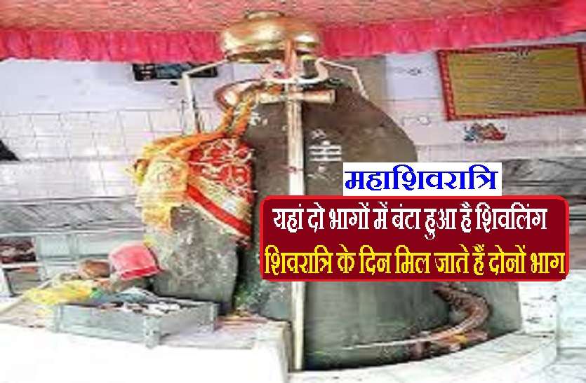 The only Ardhanarishwara Shivling in the world महाशिवरात्रि 2021 : विश्व का एकमात्र अर्धनारीश्वर शिवलिंग, जहां होता है शिव और मां पार्वती मिलन