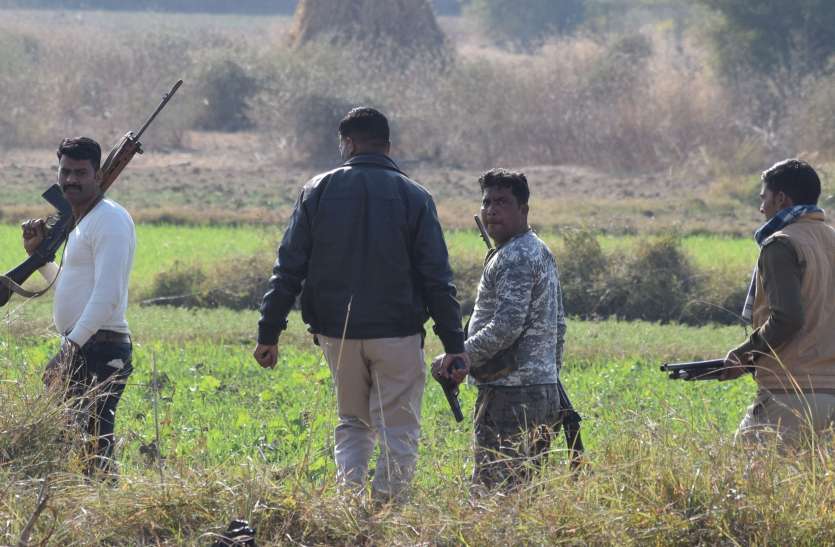 Robberies intensify in search of dacoit Mukesh gang डकैत मुकेश गिरोह की तलाश में दबिशें तेज