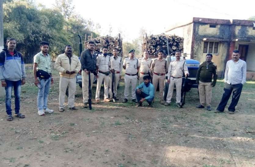 बबूल की लकड़ी का परिवहन करते हुए दो ट्रेक्टर जब्त बबूल की लकड़ी का परिवहन करते हुए दो ट्रेक्टर जब्त