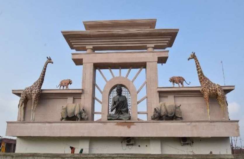 Gorakhpur Zoo लखनऊ से गोरखपुर जू शिफ्ट किए गए 7 काले हिरण