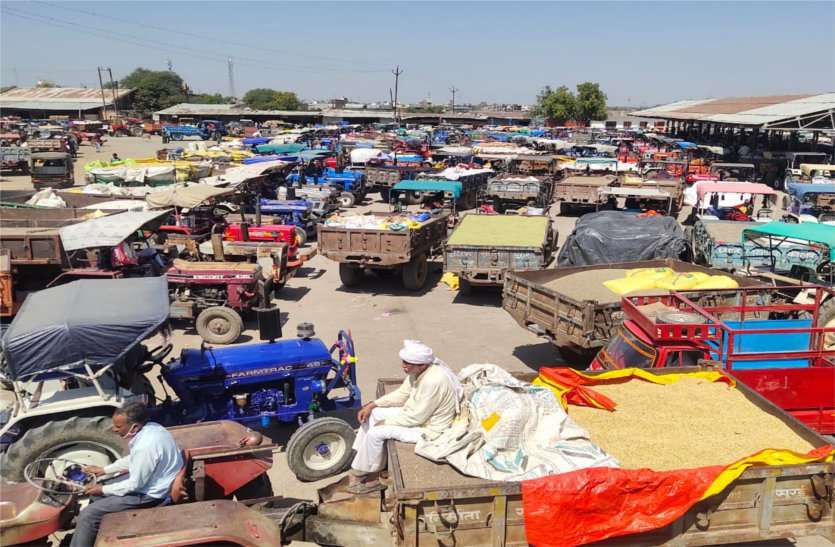 Farmers disappointed due to low price मंडी में बढ़ी आबक, ट्रैक्टर-ट्रॉलियों से भरा परिसर