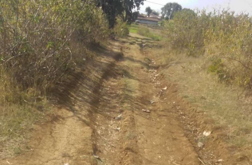 There is no way to reach the village in Singrauli कैसे-कैसे रास्तों से गांव पहुंचते हैं, जान हैरत में रह जाएंगे