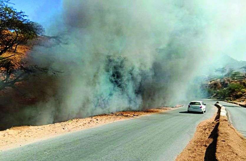 आग की ऐसी तस्वीरें देख चकरा गए वनविभाग के अधिकारी भी! असलियत होश फाख्ता कर देगी आग की ऐसी तस्वीरें देख चकरा गए वनविभाग के अधिकारी भी! असलियत होश फाख्ता कर देगी