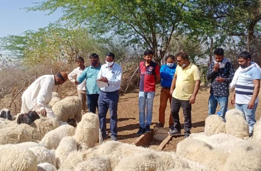 जिम्मेदारों की तंद्रा टूटी, गांव पहुंचा चिकित्सकीय दल जिम्मेदारों की तंद्रा टूटी, गांव पहुंचा चिकित्सकीय दल