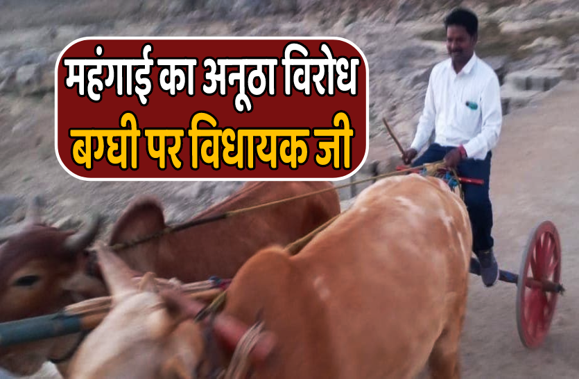 vidhayak_1.png महंगाई का विरोध : गाड़ी नहीं बैल बग्घी पर निकले विधायक, निर्माण कार्यों का लिया जायजा