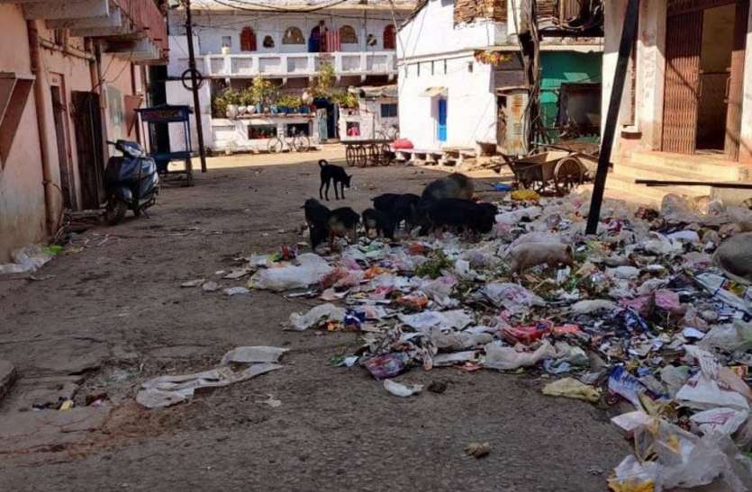 नपा में 1635 कर्मचारी, हर माह 1.40 करोड़ का वेतन, फिर भी बदहाल शहर नपा में 1635 कर्मचारी, हर माह 1.40 करोड़ का वेतन, फिर भी बदहाल शहर