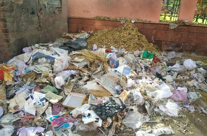 सफाई व्यवस्था की मोनिटरिंग कार्यवाहक कार्मिकों के भरोसे सफाई व्यवस्था की मोनिटरिंग कार्यवाहक कार्मिकों के भरोसे