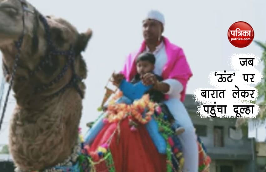 groom on camel 