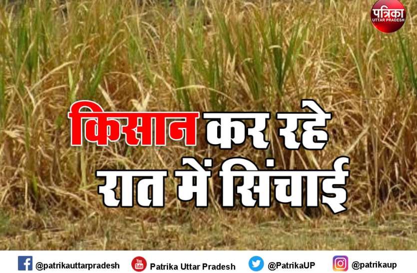 farmer.jpg किसानों के चेहरे की मुस्कुराहट गायब, जनवरी-फरवरी में मात्र आठ मिमी बारिश, गेहूं व तिलहन फसलों को खतरा
