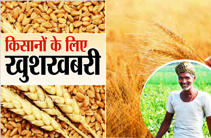 kissan_3_6617518_835x547-m.png गेहूं खरीदी में फिर पंजाब से आगे निकला एमपी, 135 लाख टन खरीदेगी केन्द्र सरकार