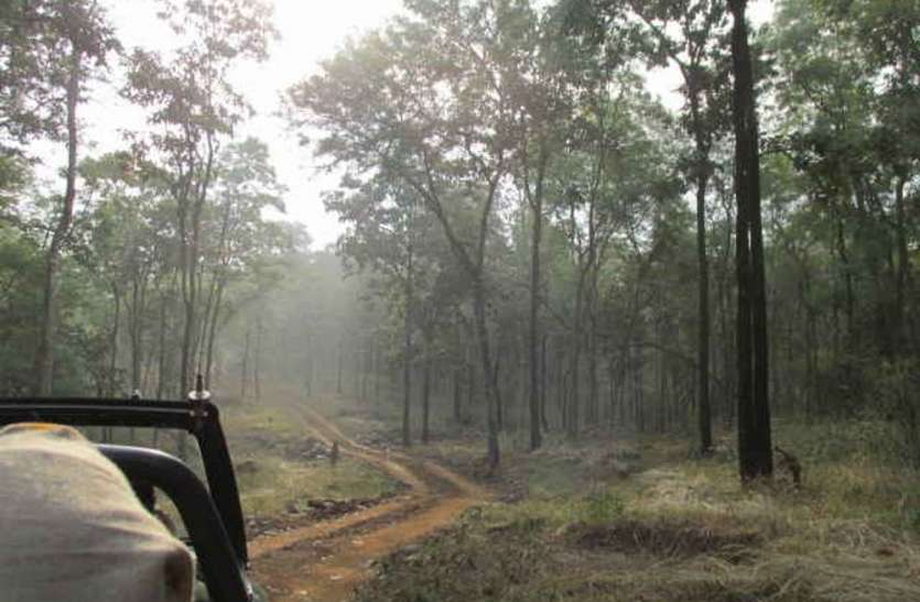 यहां मिली पक्षियों की 250 प्रजातियां, देखना है तो यहां आएं यहां मिली पक्षियों की 250 प्रजातियां, देखना है तो यहां आएं