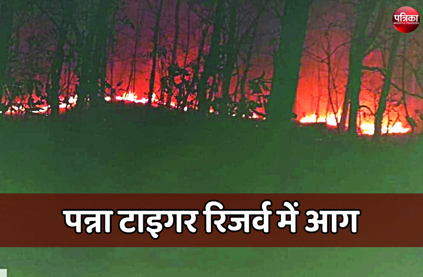 2.png पन्ना टाइगर रिजर्व के बफर क्षेत्र में लगी आग, छह घंटे बाद पाया काबू