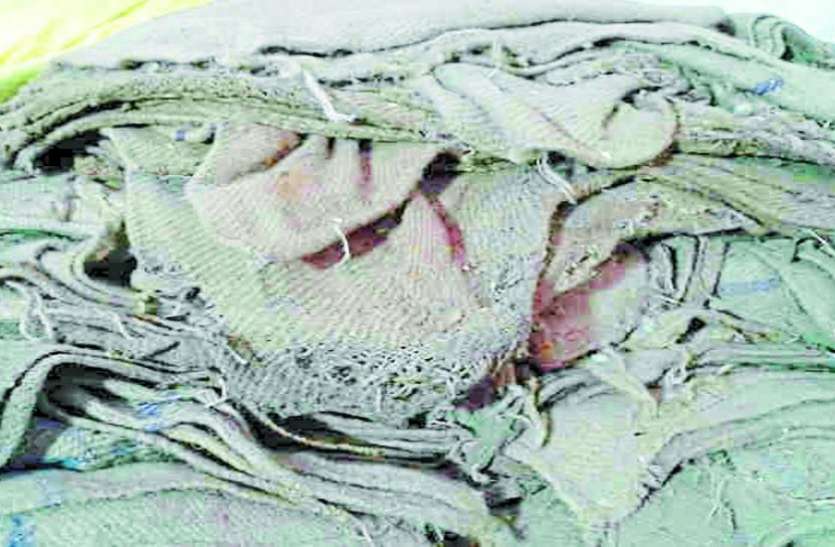 नए बारदानों को कुतर गए चूहे, पुराने में दे रहे मिलर्स को धान नए बारदानों को कुतर गए चूहे, पुराने में दे रहे मिलर्स को धान