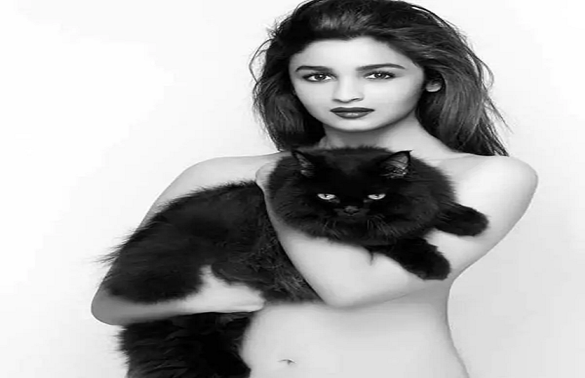 aliabhatt_topless.png