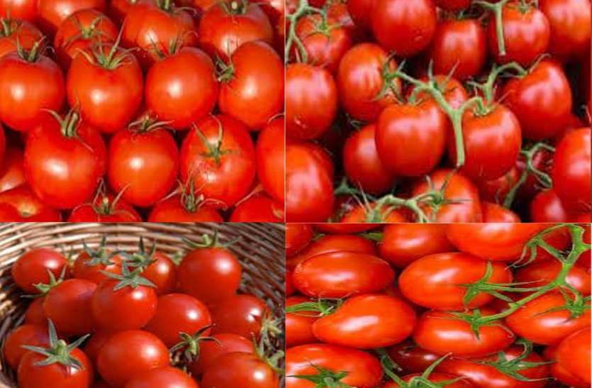 Tomato Rates At Rs 2 5 Per Kg In Sultanpur Tomato Rates स र फ 5 र पए म द क ल म ल रह टम टर क स न पर श न Patrika News