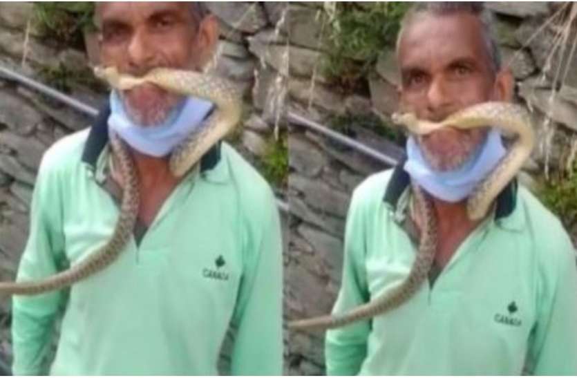 snake जिंदा सांप को मुंह में दबा लेता है ये शख्स, खतरनाक वीडियो देखकर हर कोई दंग