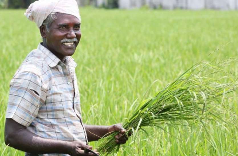 Govt transparency in procurement, distribution system of grains जानिए लोगों को सस्ता अनाज और किसानों की ज्यादा कमाई कैसे करा रही है सरकार
