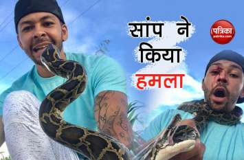 snake snake
