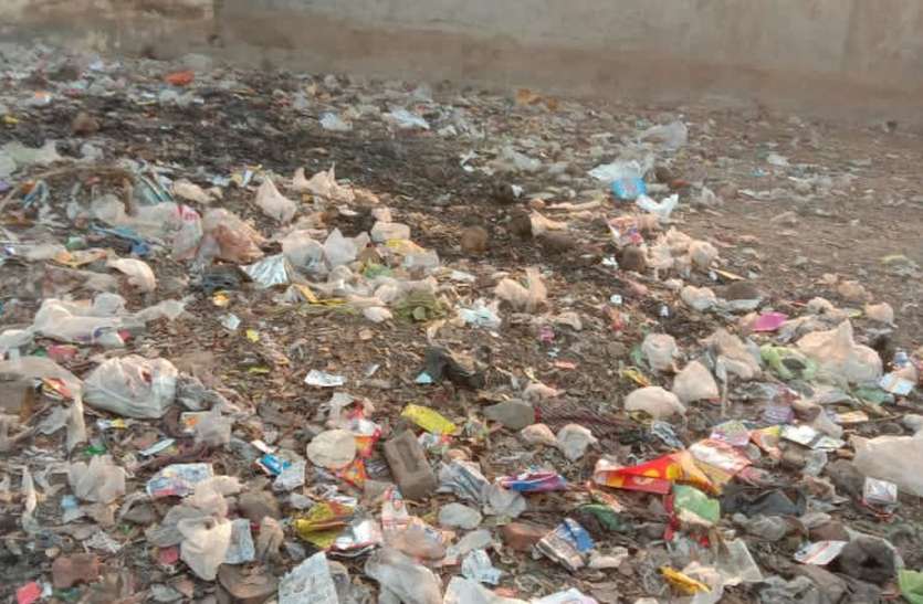 Dirt and mosquitoes become a disaster बारिश ,गंदगी और मच्छर दे रहे बीमारी को बुलावा
