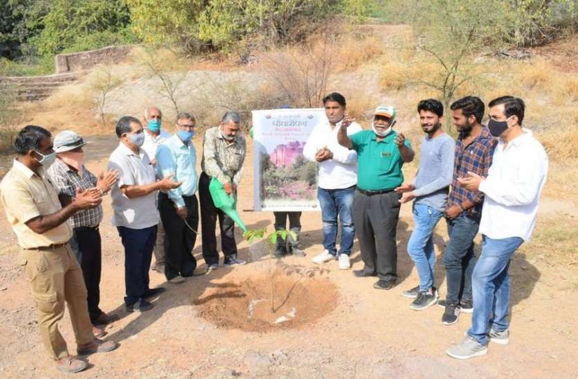 कुलिशजी ने जहां हरियाली का संदेश दिया, वहीं फिर लगाए पौधे कुलिशजी ने जहां हरियाली का संदेश दिया, वहीं फिर लगाए पौधे